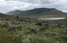 Half Day Birdwatching in the South Okanagan