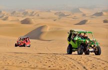 Ballestas Islands & Huacachina Oasis from Lima - Private Trip 