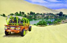 Huacachina Oasis & Ballestas Islands from Lima - Private Trip