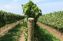 Private Wine & Charcuterie Tour