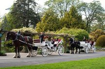 Beacon Hill Park Horse-Drawn Carriage Experience in Victoria