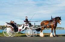 Beacon Hill Park Horse-Drawn Carriage Experience in Victoria