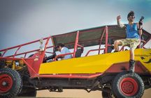 Huacachina Oasis & Ballestas Islands from Lima - Private Trip