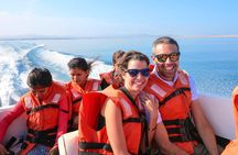 Ballestas Islands Tour & Paracas Reserve from Lima - Private Trip