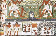Private Guided Tour to Habu Temple, Valley of the Queens and Deir El Madina