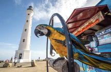 Aruba Shore Excursion: The Highlights and Delights Tour