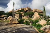 Aruba Shore Excursion: The Highlights and Delights Tour