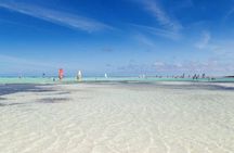 Bonaire Shore Excursion: The Bonaire Highlights Tour