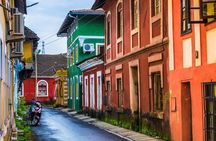 Full-Day Private South Goa Sightseeing Tour with Port Pickup