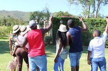 Robben Island Museum + Constantia Wineries including Fery Ticket 
