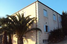 Semi Private Wine and Olive Oil tour (Transfer & Lunch Incl.)