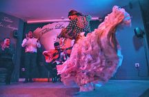 Málaga Flamenco and City Highlights Guided Tour - by Oh My Good Guide!