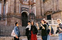 Málaga Flamenco and City Highlights Guided Tour - by Oh My Good Guide!
