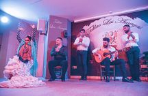 Málaga Flamenco and City Highlights Guided Tour - by Oh My Good Guide!