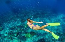Private Tour: Heaven Gate Temple, Tirta Gangga and Blue Lagoon Snorkeling
