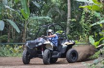 Jungle Buggy Adventure and Ubud Tour