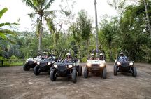 Jungle Buggy Adventure and Ubud Tour