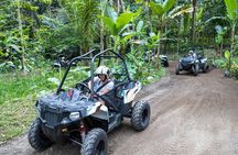 Jungle Buggy Adventure and Ubud Tour