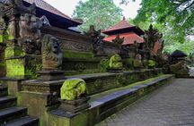 Jungle UTV Buggy Adventure and Ubud Tour
