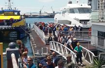 Private Visit to Robben Island Table Mountain + All Tickets F/d