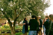 Sounion Highlights: Vouliagmeni, Olive Farm, Poseidon Temple, Thorikos Theatre 