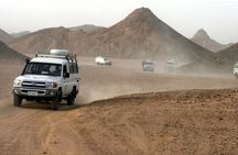 Full Day Safari Adventure to El Fayoum Oasis (4x4)