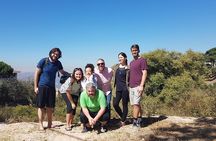Chouf Charm: Private Journey Through Lebanon's Historic Heartland