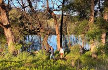 Fishermans Paradise Eco-walk