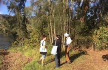 Fishermans Paradise Eco-walk
