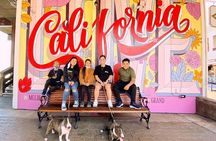 San Francisco Instagram Walking Private Tour: Most Iconic Spots