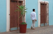 The Best of Oaxaca Walking Tour & Mezcal Tasting