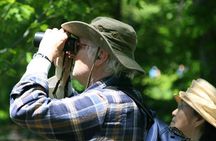 Birdwatching Walk in Thalangama Wetland from Colombo