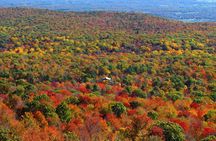 Couple's Private Hudson Valley Fall Foliage Helicopter Tour from Westchester