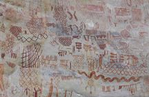 4 Days El Guaviare - Rock Paintings & Amazon Jungle