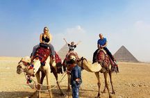 Sightseeing Day Tour to Egyptian Museum , Giza Pyramids, and Bazaar from Cairo
