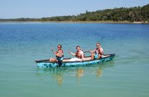 Private Tour Punta Laguna Monkey Sanctuary Zip Line