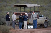 Private Safari Tour to Aquila Private Game Reserve excluding Entrance Fees