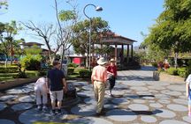 9-Day Best of Northwest Costa Rica from San Jose: Arenal Volcano National Park, Monteverde Cloud Forest and Guanacaste