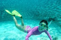 Adrenaline adventure on this Super Snorkeling Tour with ATVs and zip lines.