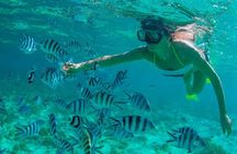 Cabo Beaches Hopper: El Arco, Santa Maria, & Chileno adventure