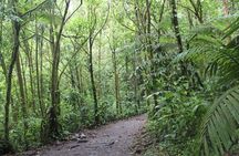 Sloth tour and Wildlife Encounter