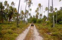Fakarava Adventure Quad Excursion