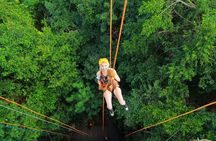 Live this unique experience in the Mayan Jungle with Buffet, Zipline & Rappel