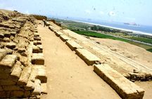 Dancing Horse Show & Lunch + Pachacamac Inca Site
