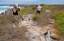 Full Day Seymour North Island & Las Bachas 