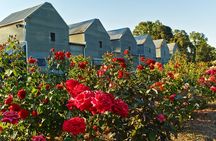Pizzini Wines King Valley Esperienza - private wine tasting & grazing plate