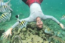 full day at baru island with snorkeling and raccoon sighting
