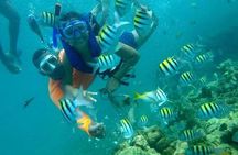 full day at baru island with snorkeling and raccoon sighting