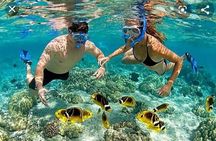 full day at baru island with snorkeling and raccoon sighting