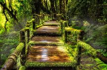 Doi Inthanon National Park - Thailand's Highest Peak